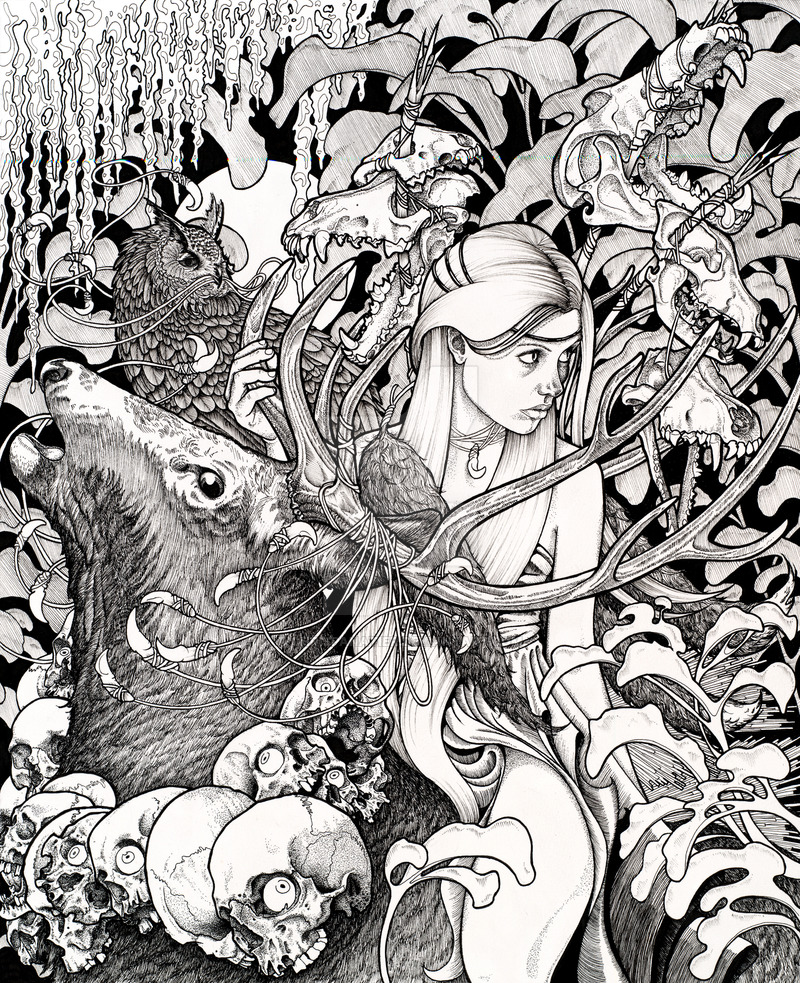 800x983 lords of the trophic cascade - Cascade Drawing