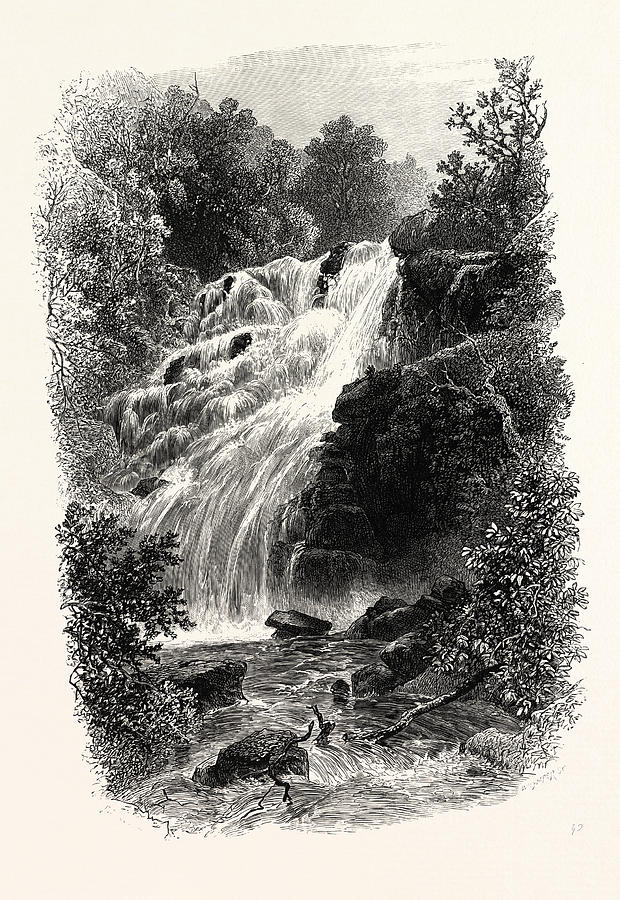 620x900 torc cascade, killarney drawing - Cascade Drawing
