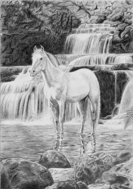 459x650 la cascade drawing - Cascade Drawing