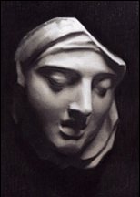 154x216 beginning cast drawing the florence academy of art - Cast Drawing