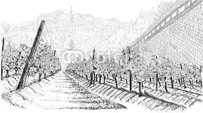 400x223 Vineyard Landscape With Old Town In The Valley And Castle Wall - Castle Wall Drawing