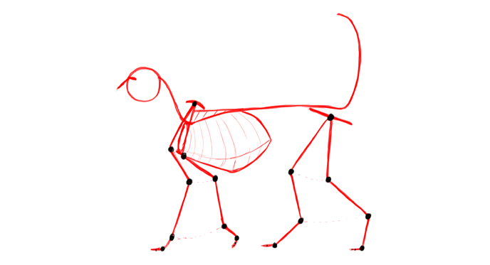 688x373 How To Draw Cats Step - Cat Anatomy Drawing