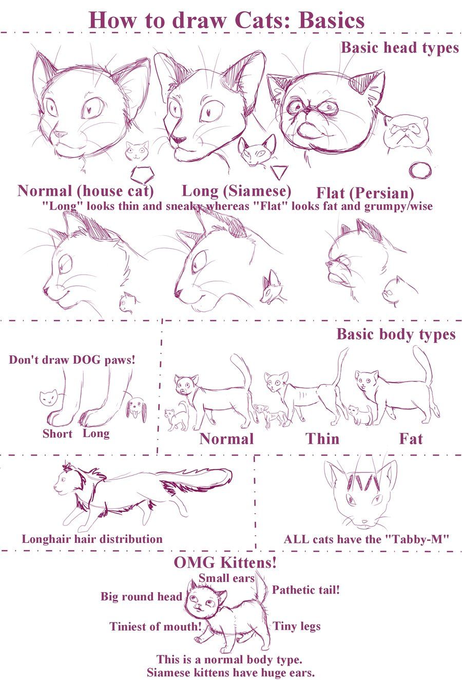 900x1324 Best Cat Drawing Tutorial Ideas How To Draw Cats, Cat - Cat Anatomy For Drawing