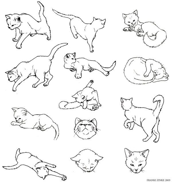 600x632 Best Simple Cat Drawing Ideas Simple Cat Tattoo, How To Draw - Cat Anatomy For Drawing