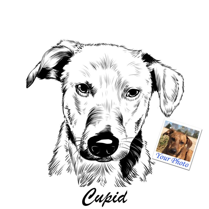 794x794 Custom Black And White Dog Drawing Custom Dog Portrait Cat Etsy - Cat And Dog Drawing