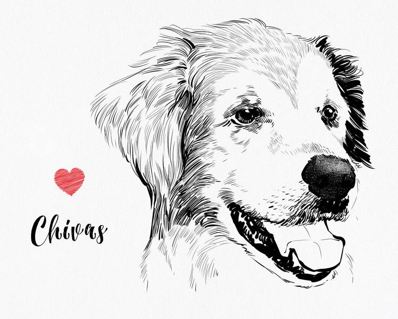 794x635 Dog Portrait Illustration Cat Illustration Dog Sketch Pet Etsy - Cat And Dog Drawing
