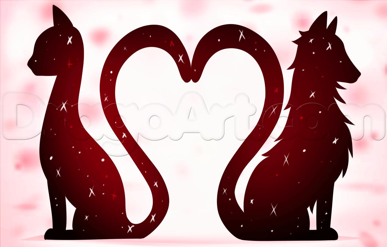 1269x809 How To Draw Cat And Dog Love, Step - Cat And Dog Drawing