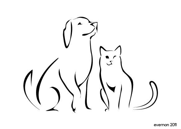 Cat And Dog Drawing At Paintingvalley Com Explore Collection Of Cat And Dog Drawing