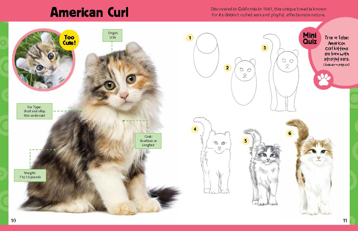 1224x792 learn to draw cats and kittens quarto knows blog - Cat And Kitten Drawing