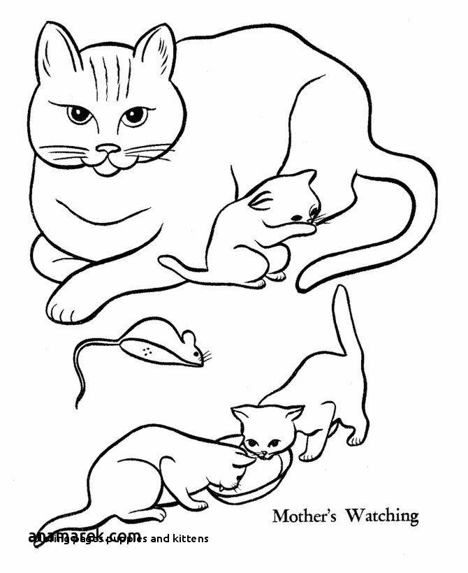670x820 puppy and kitten coloring pages beautiful coloring pages - Cat And Kitten Drawing