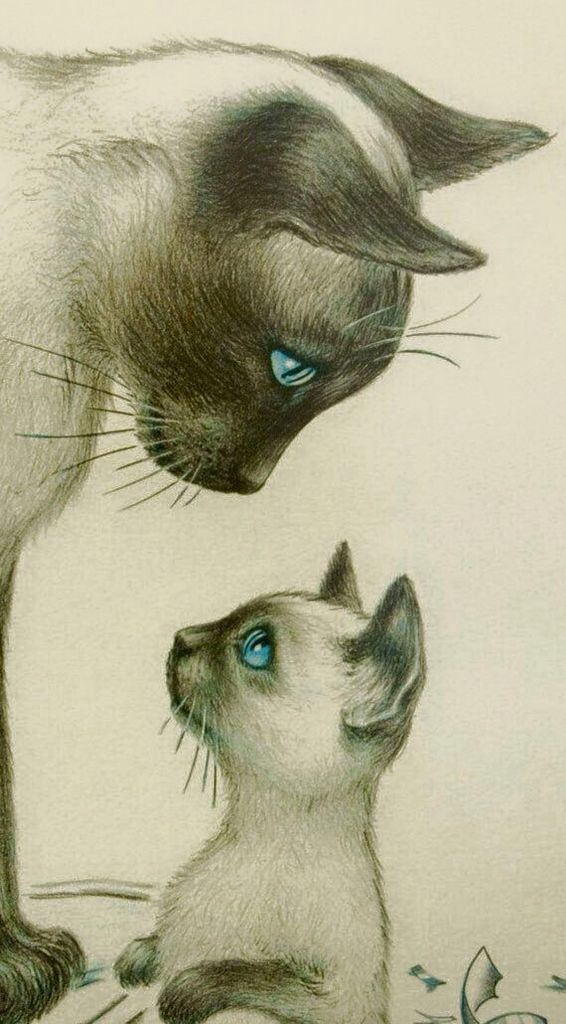 566x1024 cat kitten and cat drawing painting - Cat And Kitten Drawing