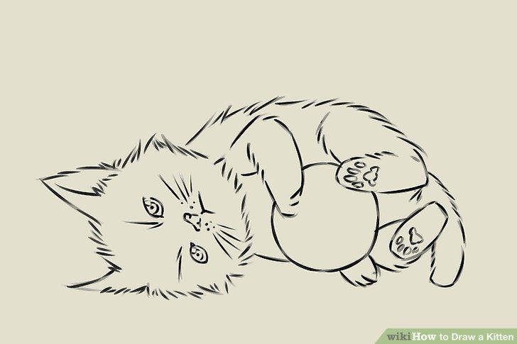 728x485 ways to draw a kitten - Cat And Kitten Drawing