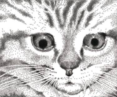 375x312 Cat And Mouse Drawing - Cat And Mouse Drawing