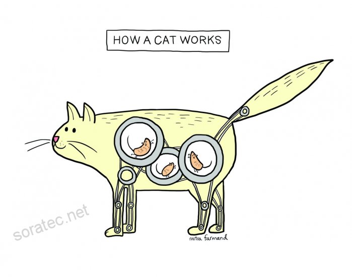 699x550 Funny Cat Postcards - Cat And Mouse Drawing