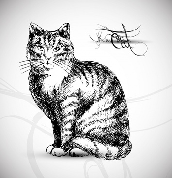 355x368 Cat Outline Free Vector Download - Cat Black And White Drawing