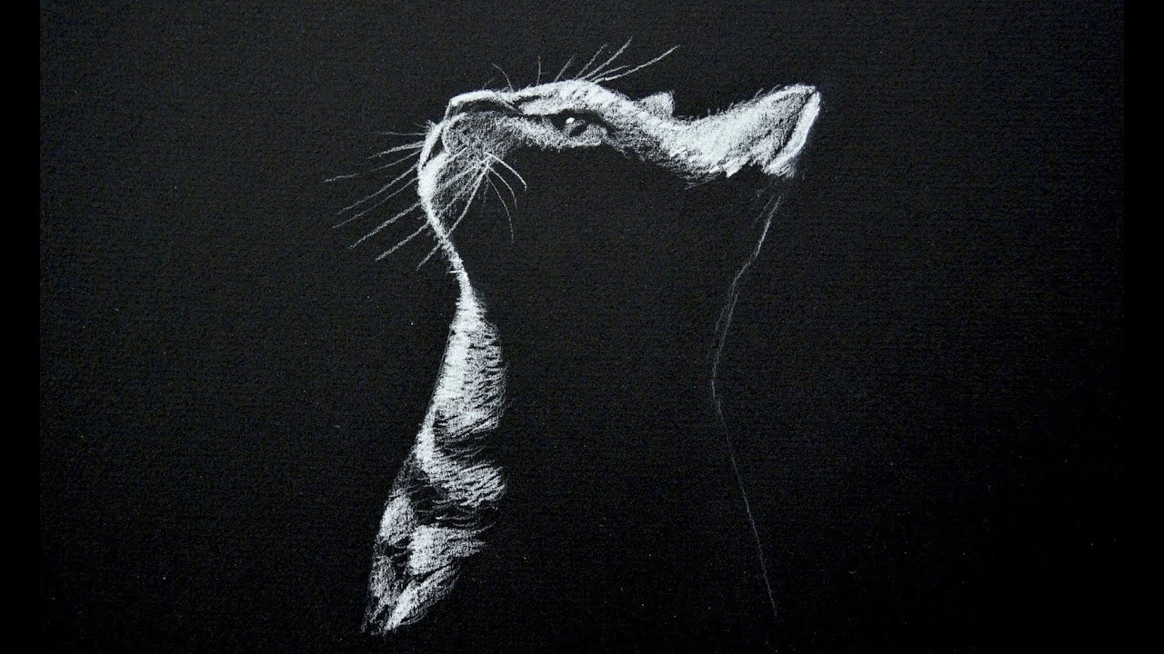 1280x720 Drawing A Cat - Cat Black And White Drawing