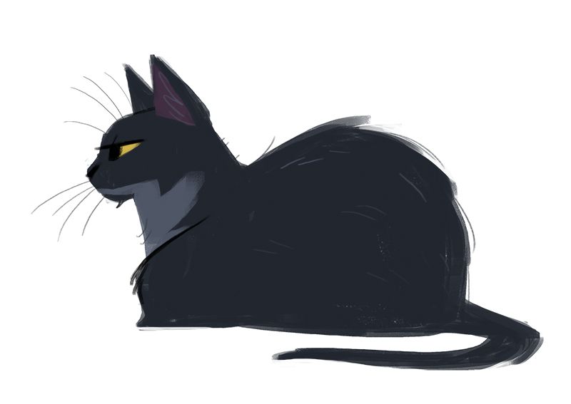 800x567 Daily Cat Drawings Photo Design And Illustration Lust - Cat Cartoon Drawing