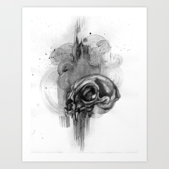 700x700 Cat Skull Charcoal Drawing Art Print - Cat Charcoal Drawing