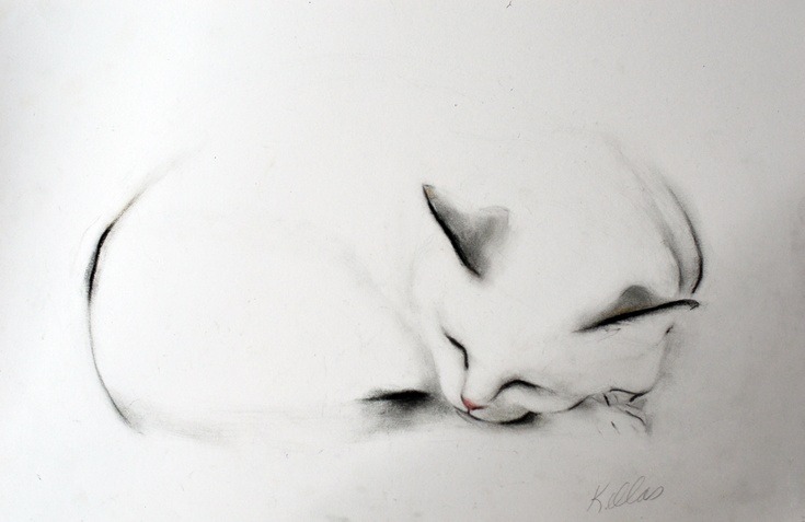 735x477 Artfinder Sleepy Cat - Cat Charcoal Drawing