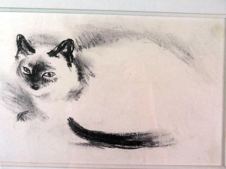 720x540 Charcoal Drawing Of A Cat, Signed And Frame, Magi - Cat Charcoal Drawing
