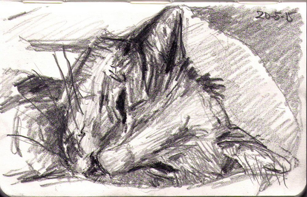 1000x643 Drawing Of Texas The Cat In Charcoal And Ballpoint Pen Oh And It - Cat Charcoal Drawing