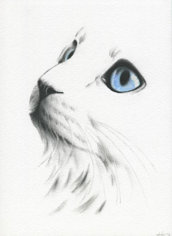 570x784 white cat with blue eyes cat sketch charcoal cat drawing etsy - Cat Charcoal Drawing