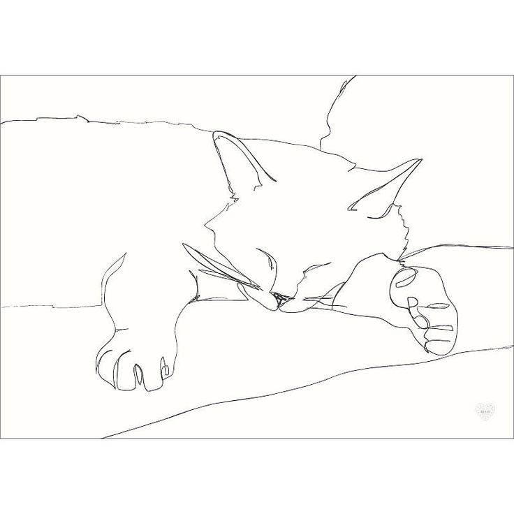 736x736 Contour Drawing Cat For Free Download - Cat Contour Drawing