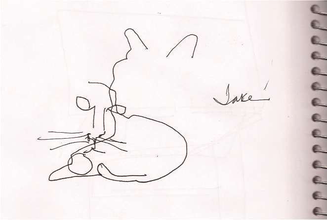 662x446 I Am Rushmore Kitty Gestures - Cat Contour Drawing