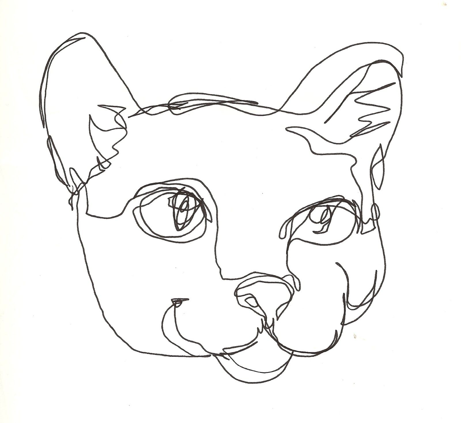 1600x1469 Kelsea Janner Blind Contour Drawing Sketchbook Contour Line - Cat Contour Drawing