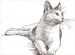262x192 Arkhivy Blogov - Cat Contour Drawing