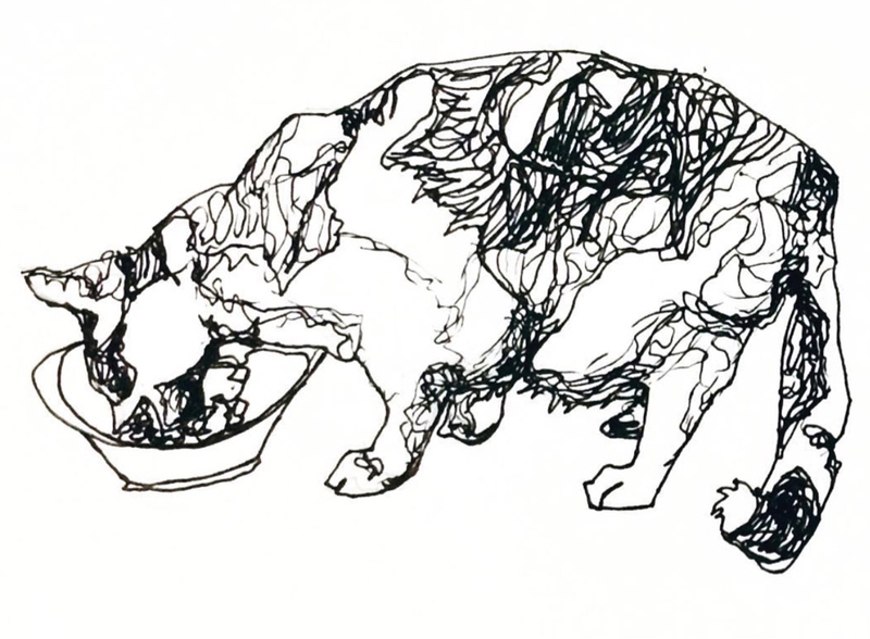 800x588 Artwork - Cat Contour Drawing