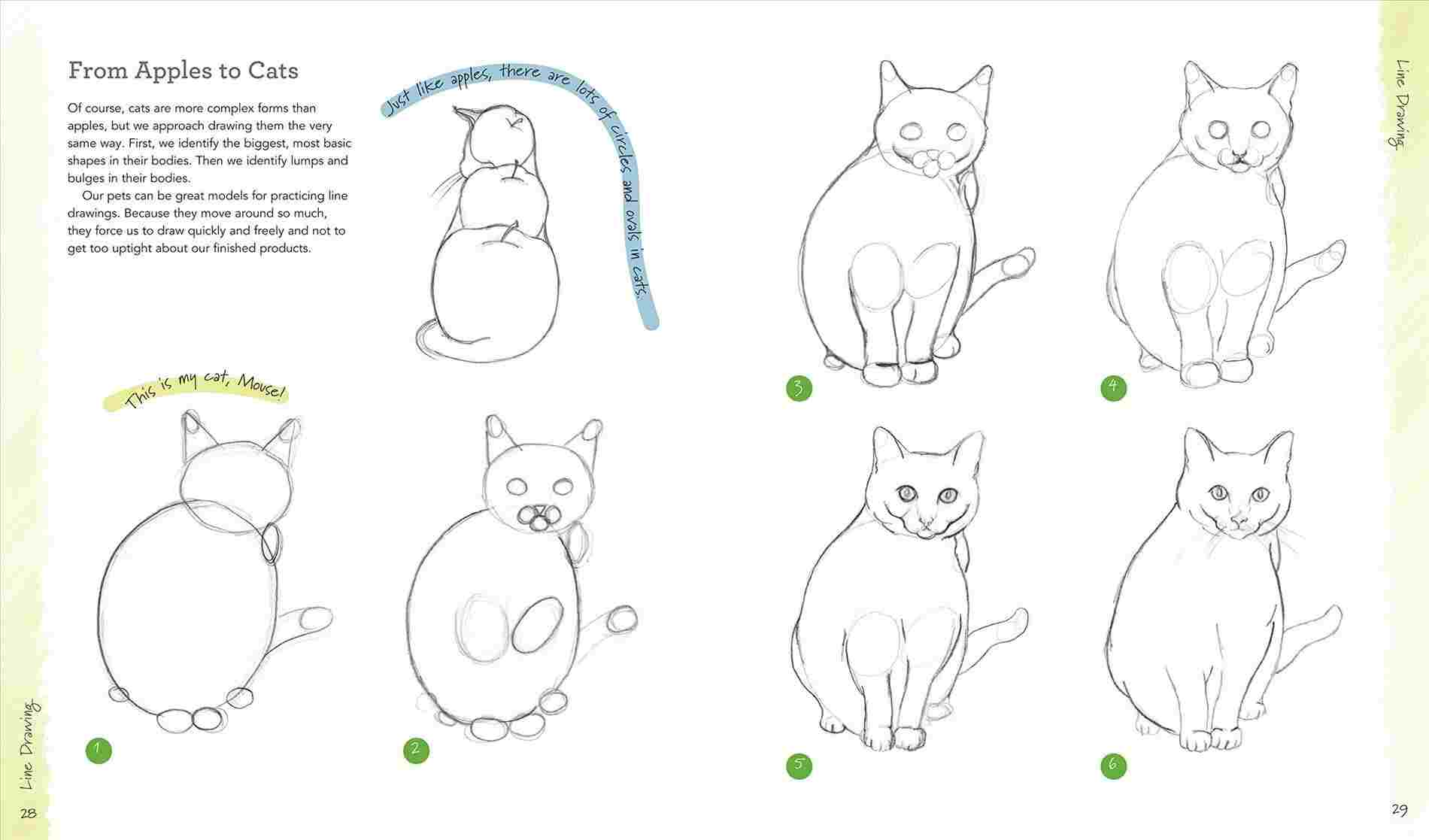 1900x1117 Cat Contour Cat Easy Animal Contour Drawing Contour Drawing - Cat Contour Drawing