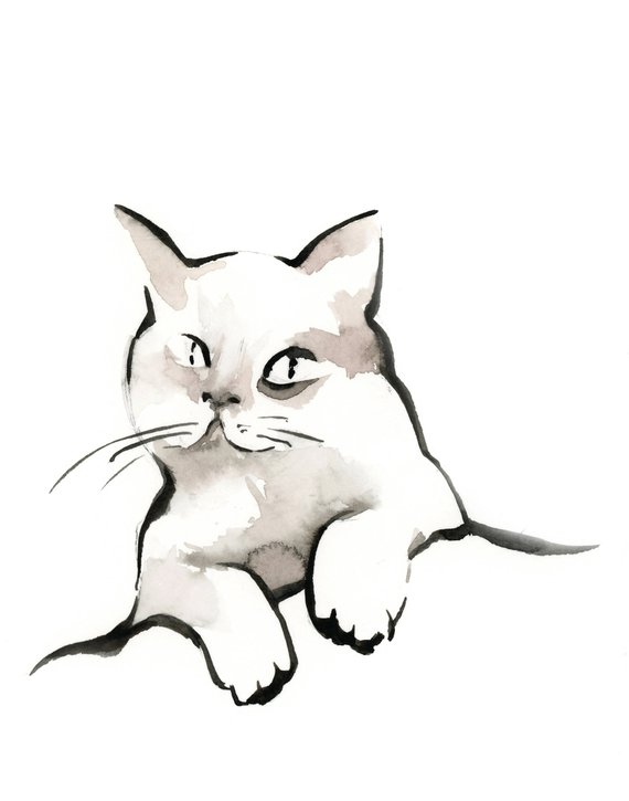 570x725 cat fine art print, watercolor and ink painting print, cat art - Cat Contour Drawing