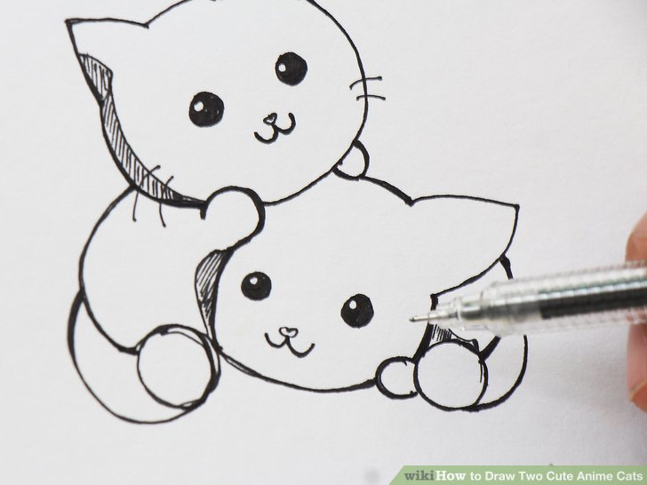 728x546 How To Draw Two Cute Anime Cats - Cat Cute Drawing