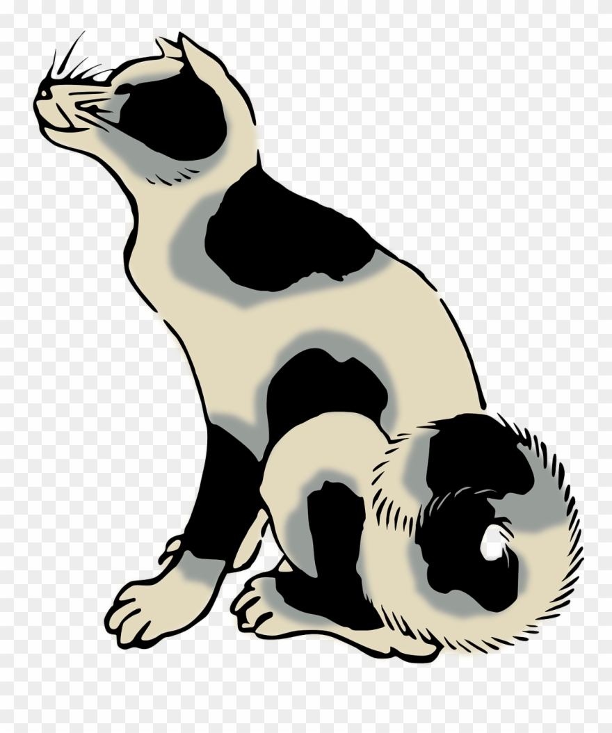 880x1054 drawing whiskers cat dog computer icons - Cat Dog Drawing