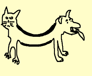 300x250 Realistic Cat Dog Drawing - Cat Dog Drawing