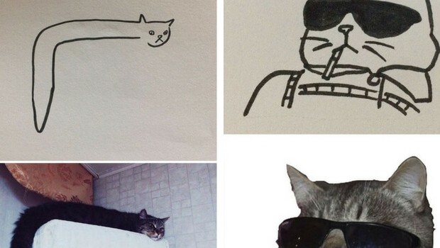 Cat Drawing