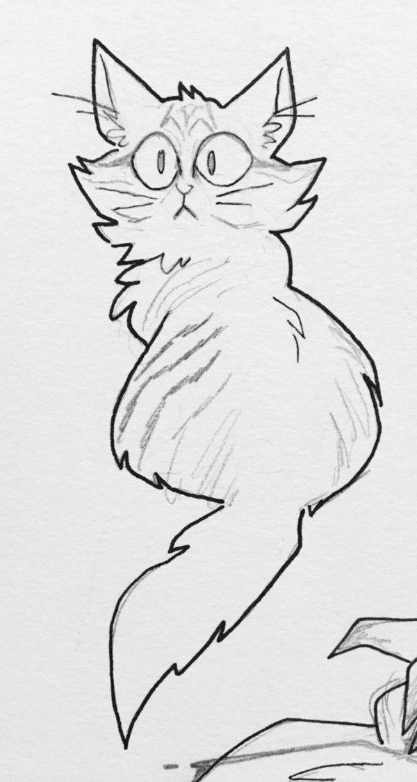 600x1126 Simple Cat Drawing Examples Anyone Can Try - Cat Drawing