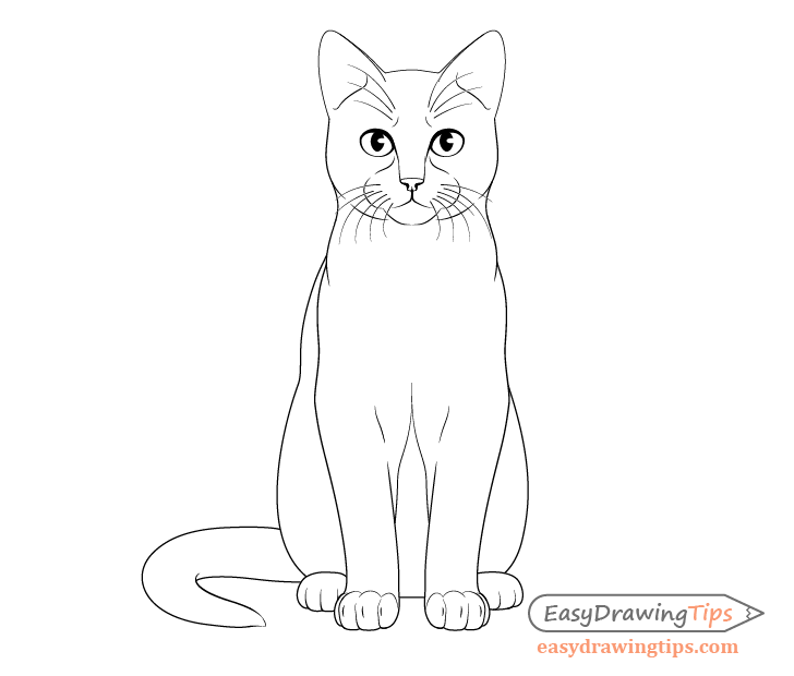 728x620 How To Draw A Sitting Cat Step - Cat Drawing