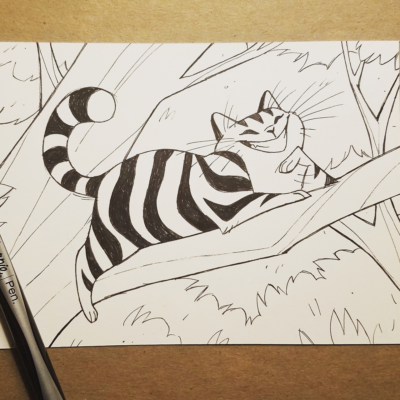 1280x1280 Daily Cat Drawings - Cat Drawing A Picture