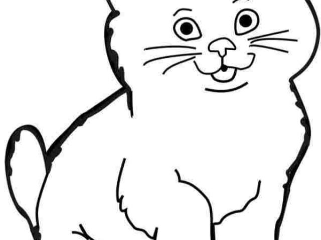 640x480 kittens clipart cat drawing - Cat Drawing Clipart