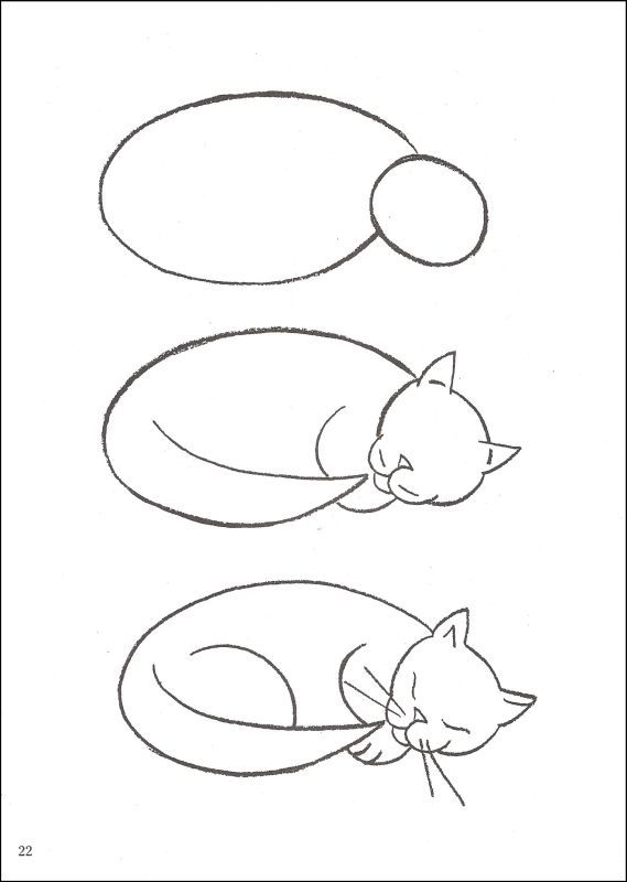 569x800 How To Draw Cats Drawing Techniques Drawings, Cat Drawing, Art - Cat Drawing Drawing
