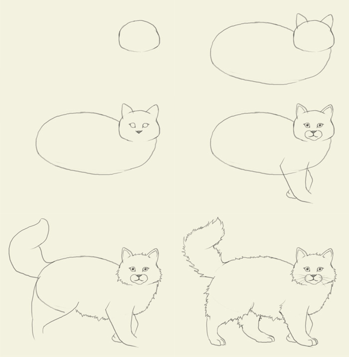 700x717 How To Draw A Cat - Cat Drawing Drawing