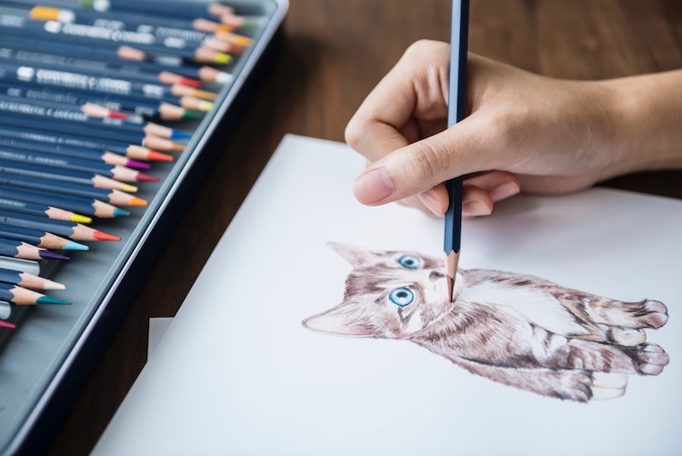 750x501 Learn How To Make Your Own Cat Drawing, From Realistic To Stylized - Cat Drawing Drawing