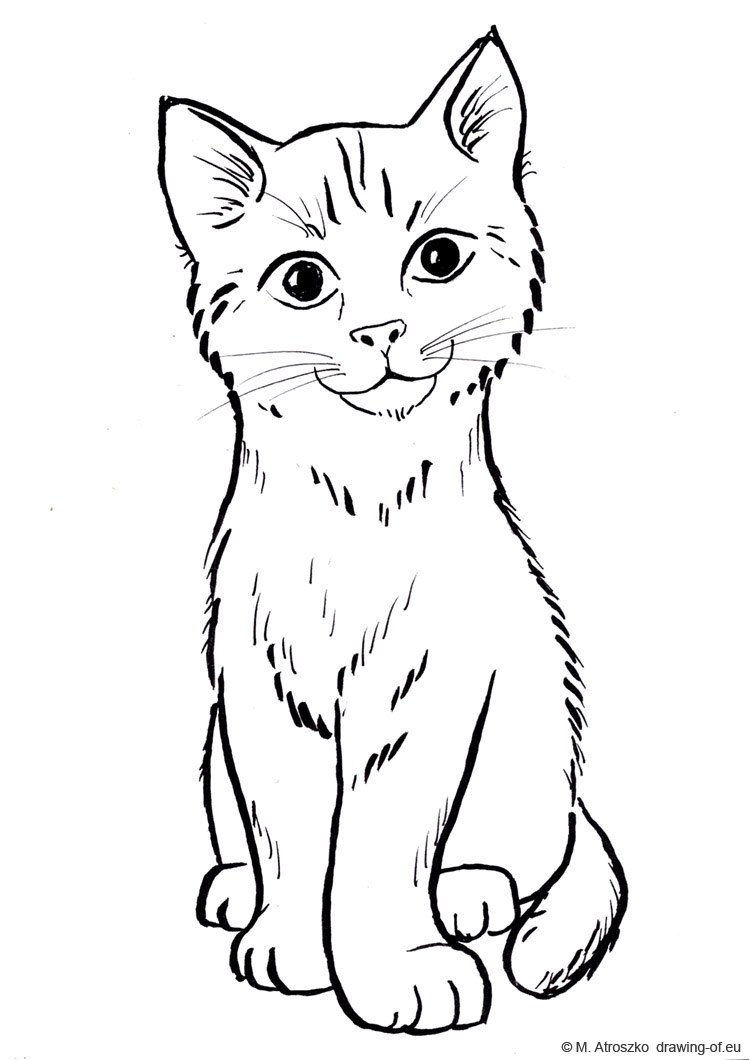 750x1060 Cat Draw - Cat Drawing Drawing