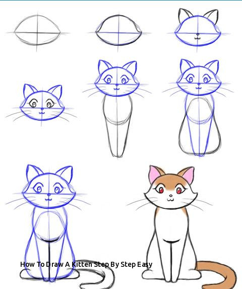 480x573 How To Draw A Kitten Step - Cat Drawing Easy