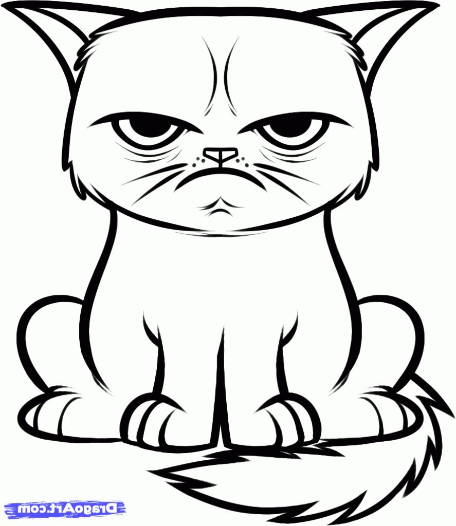 887x1024 Image Result For Cats Drawings Easy Coloring Pages Cat - Cat Drawing Easy