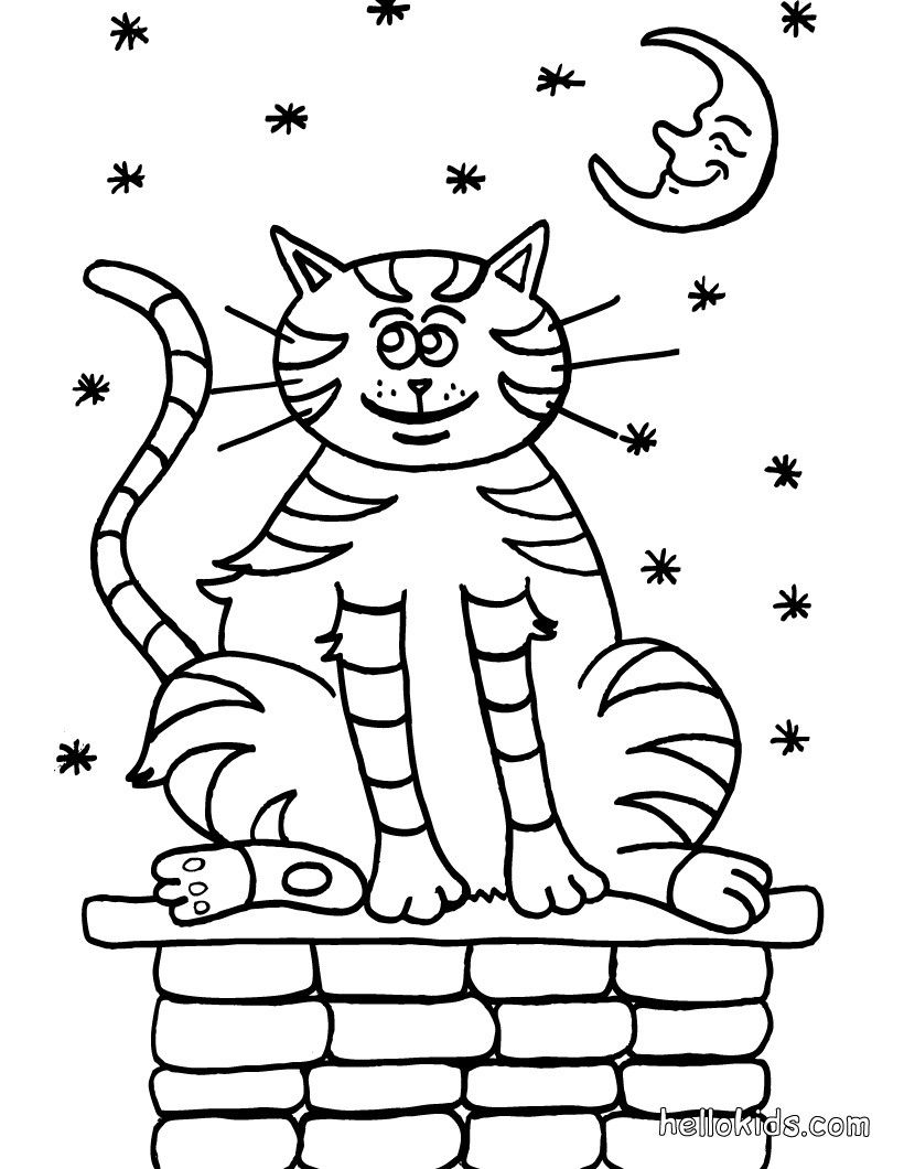 820x1060 Tabby Cat Coloring Pages With Tabby Cat Coloring - Cat Drawing For Kids