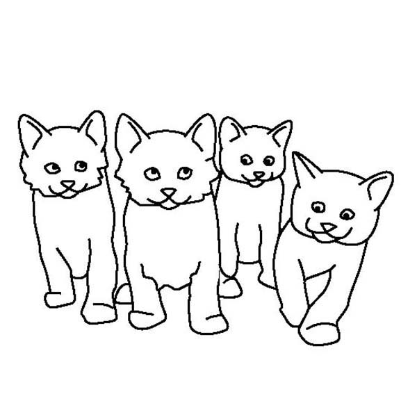 600x600 Cat Pictures To Color For Kids Cute Cats Drawing - Cat Drawing For Kids
