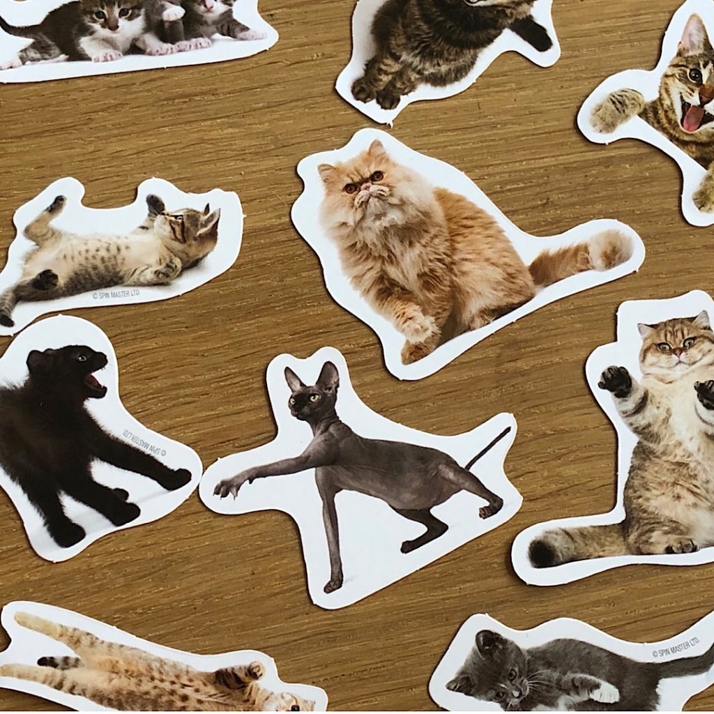 1024x1024 The Cat Game Review - Cat Drawing Game